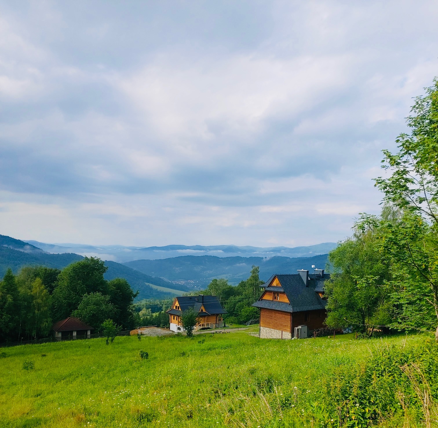 Widok